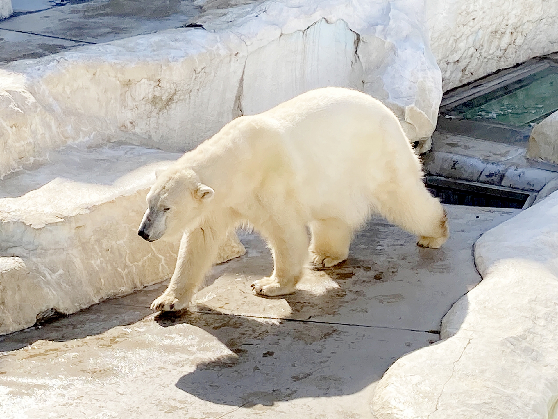 感情は表に出さないほうがいい？うつと情動調整