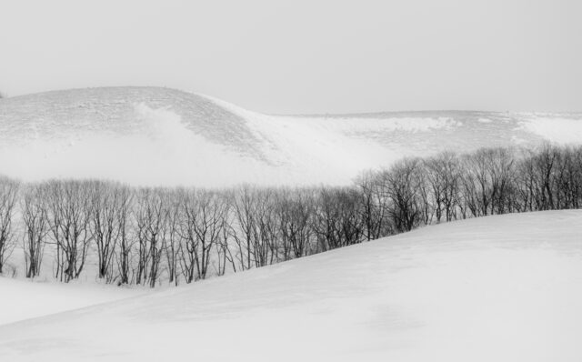 寒い時期に落ち込む理由は？